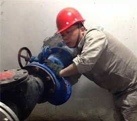 聚焦市供水公司引水分公司设备检修 精细维护，保障城市供水生命线